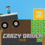 Crazy Driver Noob