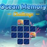 Ocean Memory Challenge