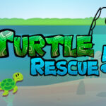 Turtle Rescue